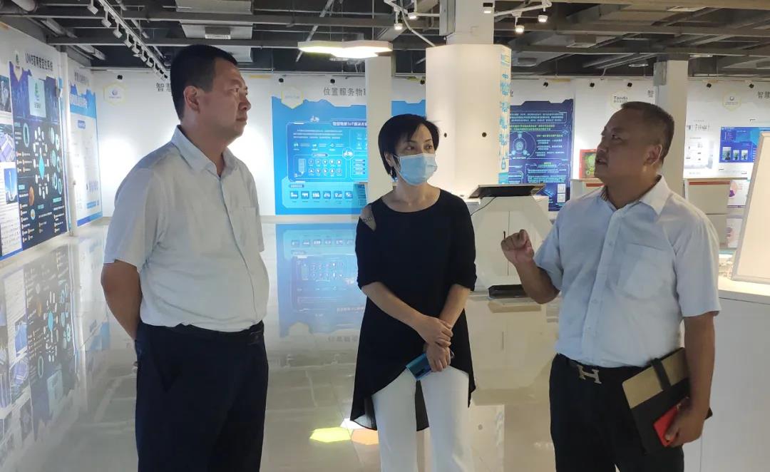 高甫 副县长了解物联网产品展示厅